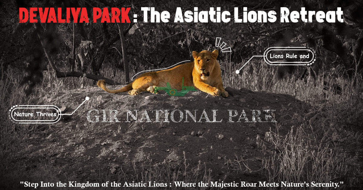 Devaliya Park: The Asiatic Lions Retreat