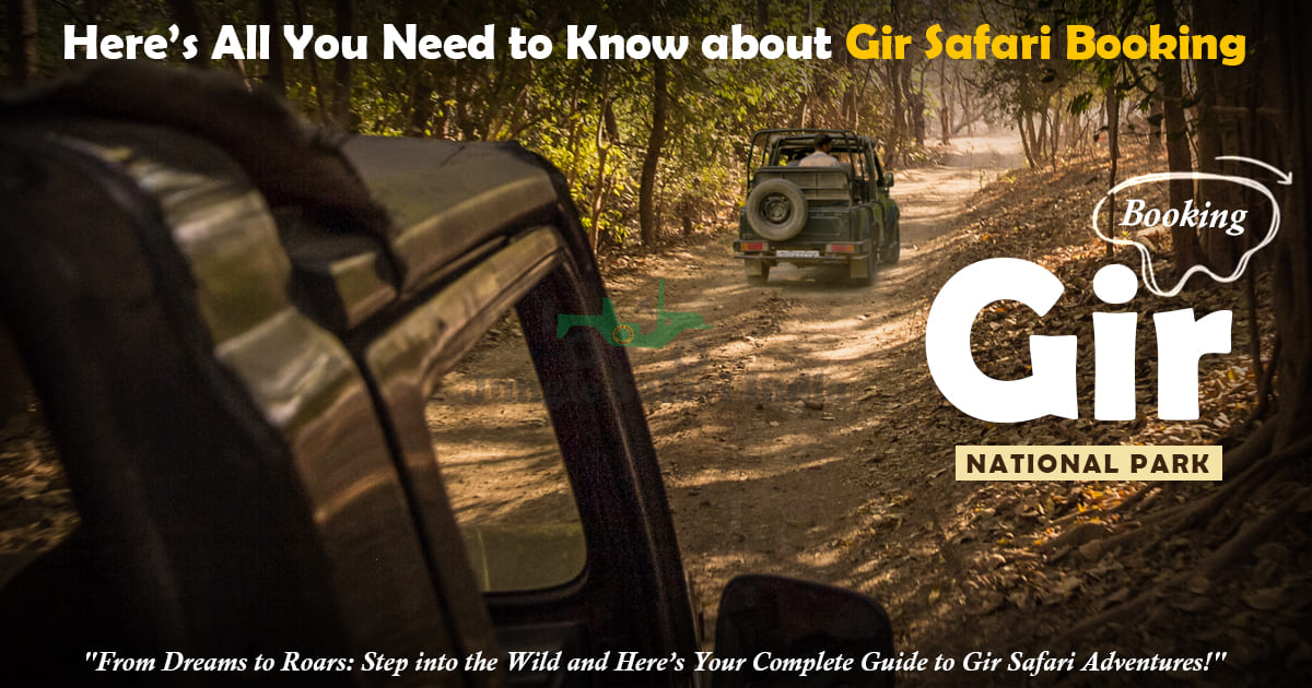 Here’s All You Need to Know about Gir Safari Booking