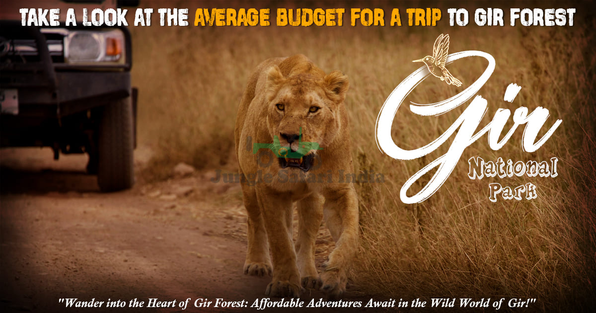 Take A Look At The Average Budget For A Trip To Gir Forest