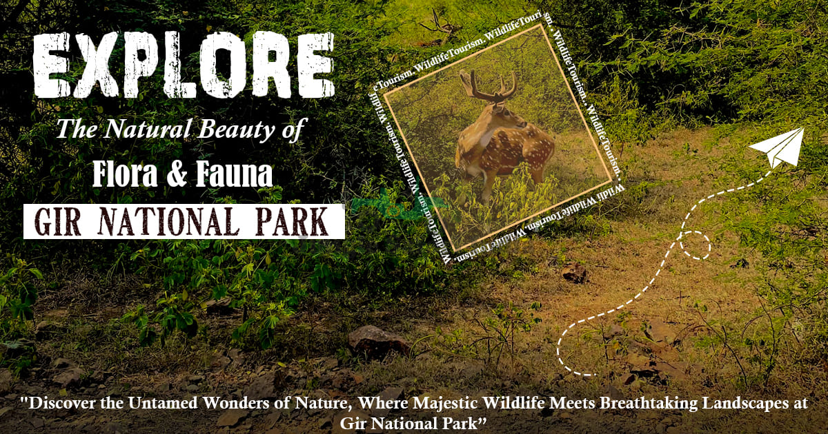 Explore The Natural Beauty of Flora and Fauna in Gir National Park