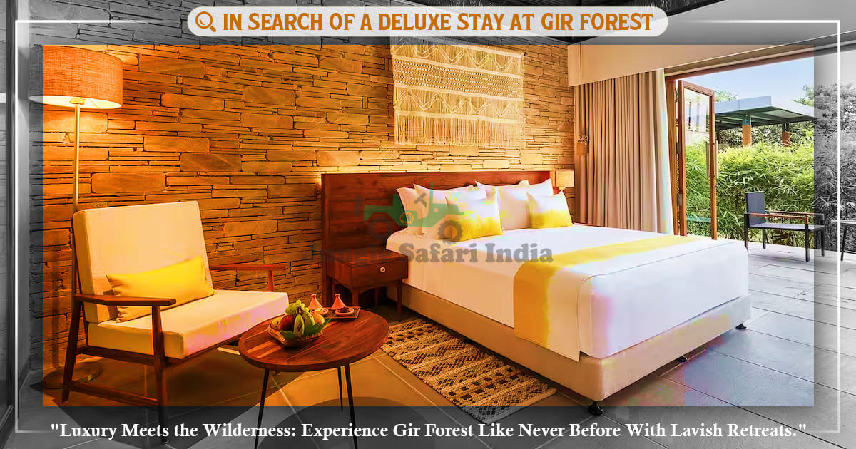 In Search of a Deluxe Stay at Gir Forest