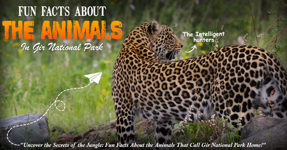 Fun Facts About The Animals In Gir National Park