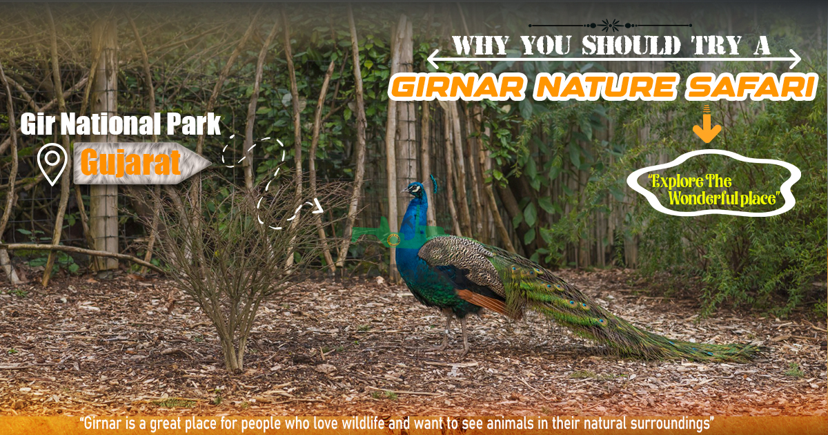 Why You Should Try A Girnar Nature Safari