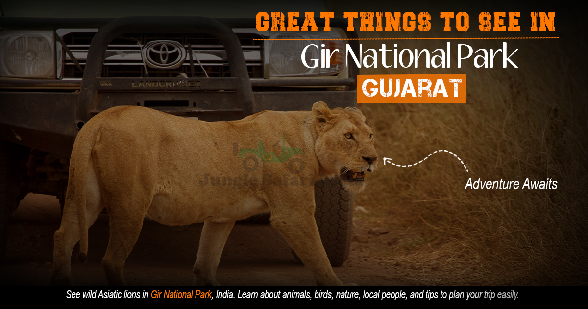 Great Things To See In Gir National Park