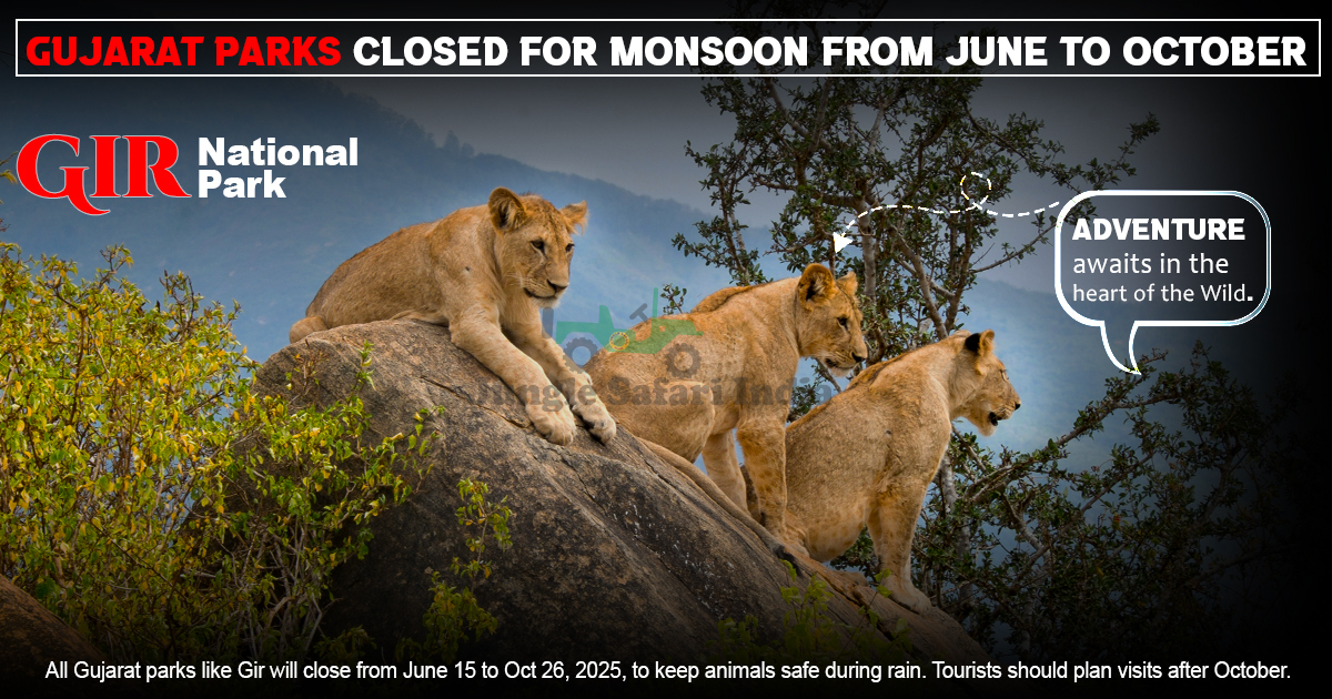 Gujarat Parks Closed For Monsoon From June To October
