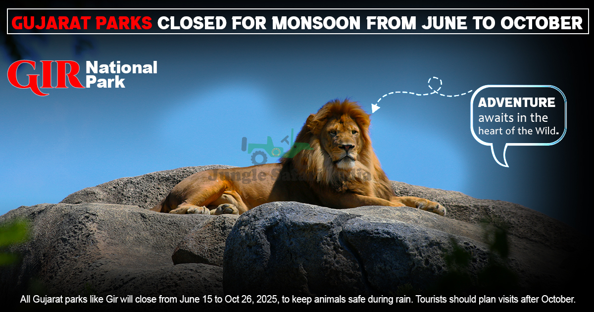 Gujarat Parks Closed For Monsoon From June To October