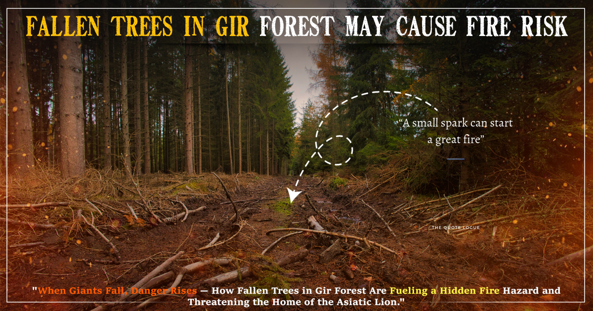 Fallen Trees In Gir Forest May Cause Fire Risk