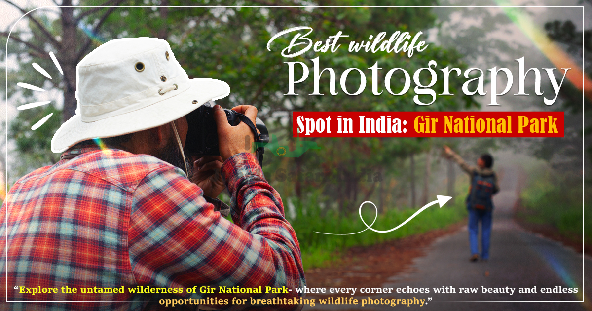 Best Wildlife Photography Spot In India: Gir National Park