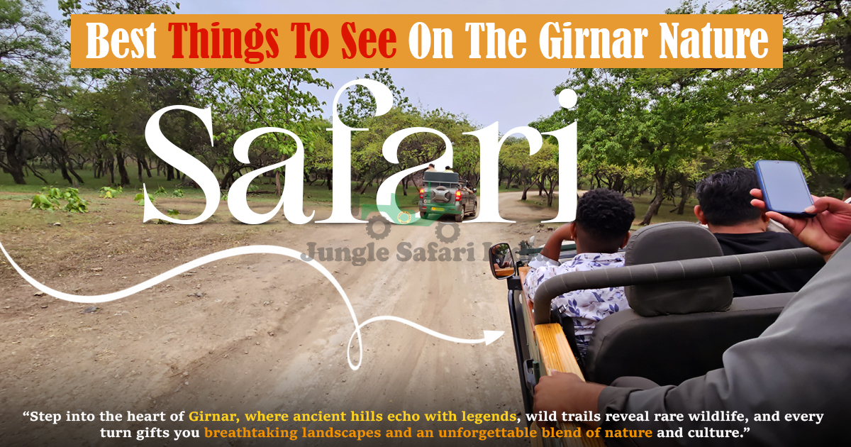 Best Things To See On The Girnar Nature Safari