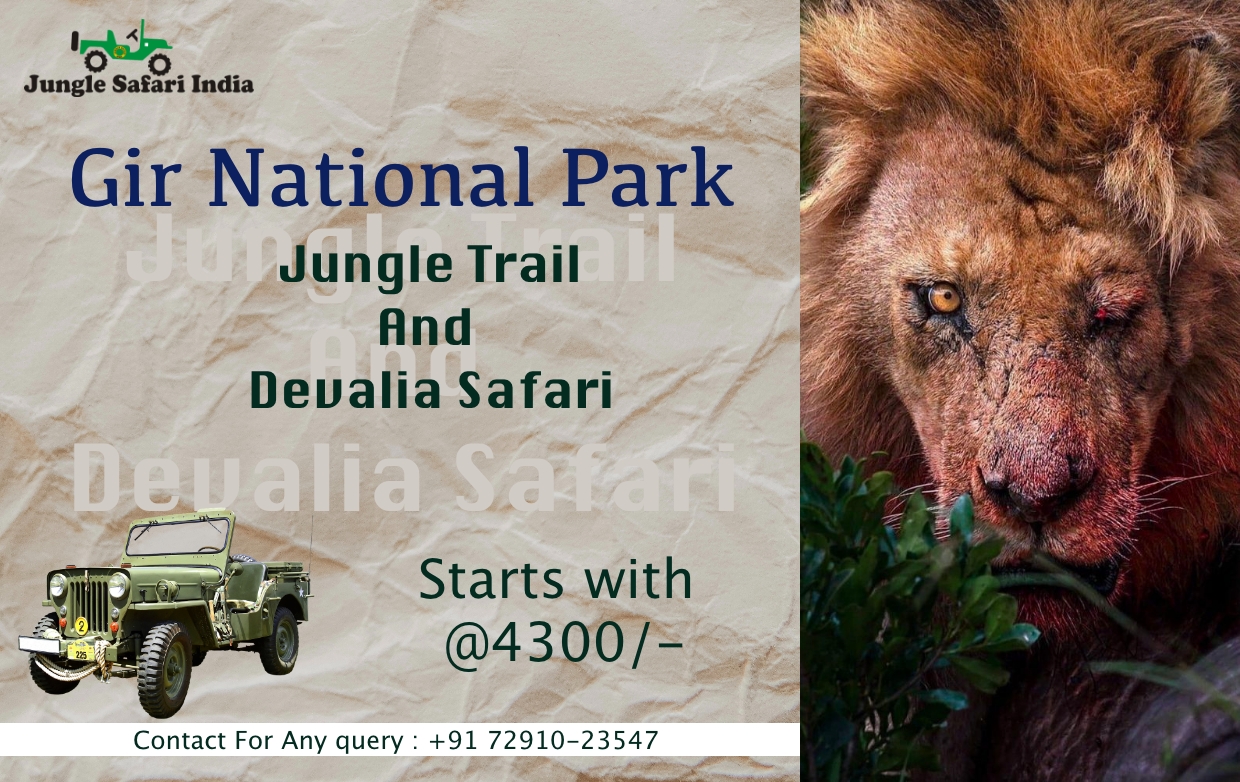 Gir Safari Booking | Gir National Park Safari Booking | GirLion