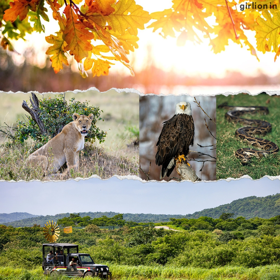 Flora & Fauna of Gir